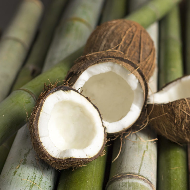 Bamboo & Coconut Wax Melt
